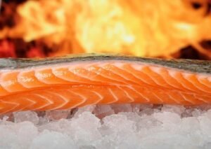 Tranche de saumon cru déposé sur un lit de glaçon