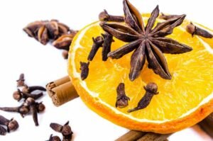 Clou de girofle sur une tranche d'orange