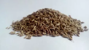 tas de grains de cumin
