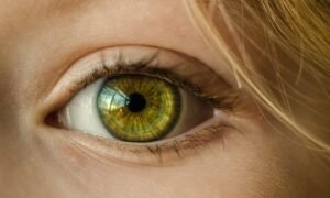 Oeil ouvert